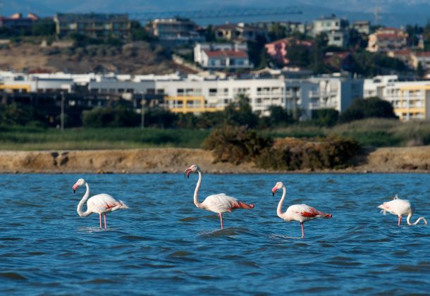 Ambiente e territorio